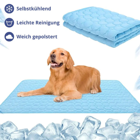 🔧 LIMITED-TIME 50% OFF! 💥 Heavy-Duty Anti-Rattle Hitch Tightener – Steel Build, Rubber Coating, Universal Fit ✨