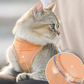 🐾 LIMITED-TIME 50% OFF! ✨ One Piece Vest Leash for Pets – Breathable, Secure, Reflective 🌙