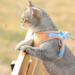 🐾 LIMITED-TIME 50% OFF! ✨ One Piece Vest Leash for Pets – Breathable, Secure, Reflective 🌙