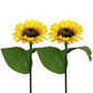 🎅Christmas Sale🌻50K+ SOLD! 🎁✨Sunflower Solar Garden Stake Led Lights