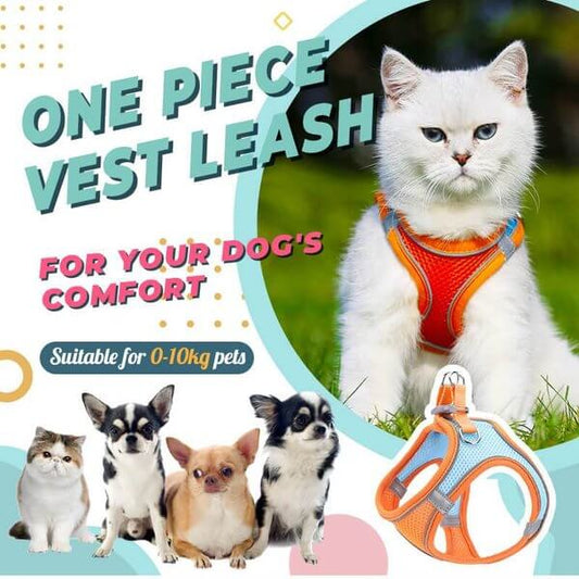 🐾 LIMITED-TIME 50% OFF! ✨ One Piece Vest Leash for Pets – Breathable, Secure, Reflective 🌙