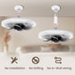 🌀 LIMITED-TIME 50% OFF! ✨ Remote Control Ceiling Fan with Light – Modern, Quiet, Energy Efficient 💡