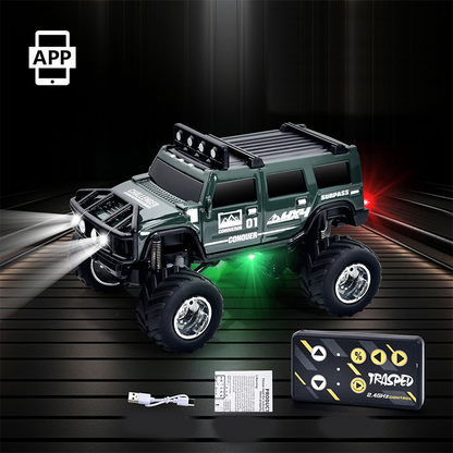 🔋 2025 HOT SALE 55% OFF! ✨ Mini RC Off-Road Truck with Lights