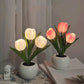 🔥2026 New Arrivals: 40% Off for a Limited Time!🔥LED Tulip Night Light Flower Table Lamp🌷