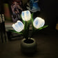 🔥2026 New Arrivals: 40% Off for a Limited Time!🔥LED Tulip Night Light Flower Table Lamp🌷