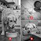⏳Limited-time 50% off🐶🦴Roll-N-Lick Dog Bowl: The Ultimate Liquid Treat FeederAnti-gulping bowl for dogs with rolling ball
