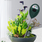 🌱 LIMITED-TIME 50% OFF! 💧 Professional Soil Moisture Meter – Battery-Free, Easy Read, Indoor & Outdoor ✨