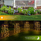 🥳2026 HOT SALE🥳💞50K+ SOLD!💥✨🌙 40% OFF! Solar Garden Lights – Creates warm, inviting glow for patios & yards. 8-10hrs illumination after full charge. Easy install, weatherproof. A beautiful touch to any outdoor space. 🏠💫