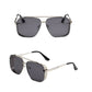 🔥50% OFF for a limited time🔥Men's Retro Double Bridge Metal Frame Sunglasses