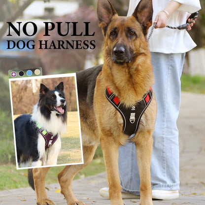 🐶 LIMITED-TIME 50% OFF! 💡 No Pull Dog Harness with Leash & LED Collar – Adjustable, Padded, Night Safe ✨