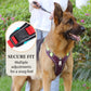 📢📢30% OFF !! ⏰No Pull Dog Harness with Leash & Collar LED