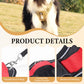 📢📢30% OFF !! ⏰No Pull Dog Harness with Leash & Collar LED