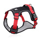 📢📢30% OFF !! ⏰No Pull Dog Harness with Leash & Collar LED