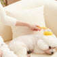 🛁🐾 Pet Bath Brush with Soap Dispenser – Long Handle, No Bending, Soft & Efficient, Easy Bath at Home 🧼✨