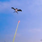 ⏳LAST DAY SALE ONLY ￡18.99!!🔥Handheld Fishing Rod Kite Toy
