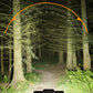 🔥While Supplies Last 40% OFF!🎉 Rechargeable 28-LED Bicycle Headlight with Horn
