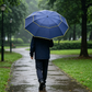 Heavy-Duty Wind-Resistant Compact Umbrella