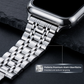 Stainless Steel Strap & Case Set