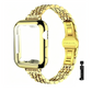 Stainless Steel Strap & Case Set