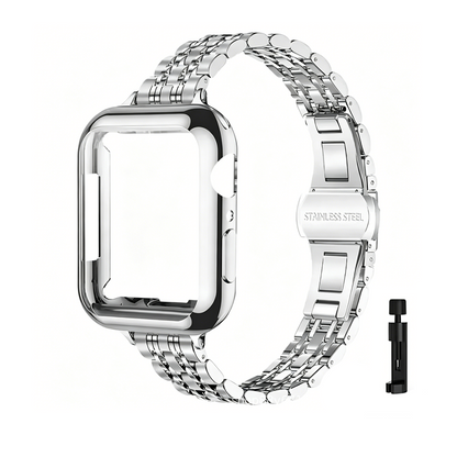 Stainless Steel Strap & Case Set