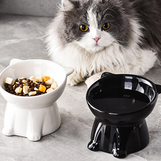 🐱 LIMITED-TIME 50% OFF! ✨ Ergonomic Elevated Cat Bowl – 15° Tilt, Anti-Ti
