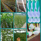 🌱 LIMITED-TIME 50% OFF! ✨ Garden Climbing Plant Net – Durable Support, Easy Install, Vertical Growth 🍅