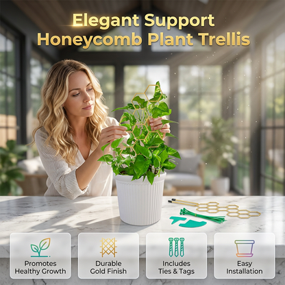 🌿 LIMITED-TIME 50% OFF! ✨ Honeycomb Plant Trellis – Rust-Proof, Stackable, Easy Install 🐝