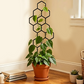 🌿 LIMITED-TIME 50% OFF! ✨ Honeycomb Plant Trellis – Rust-Proof, Stackable, Easy Install 🐝