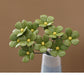 🌸 LIMITED-TIME 50% OFF! 💥 Everlasting Ceramic Floral Decoration – Glossy Finish, Zero Maintenance, 10 Pieces ✨