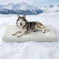 🐾 LIMITED-TIME 50% OFF! 💥 Instant Cooling Pet Mat – Scratch Resistant, Non-Toxic, Wipe Clean ✨