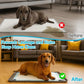 🐾 LIMITED-TIME 50% OFF! 💥 Splash-Proof Silicone Pet Pad – L-Shaped, Waterproof, Anti-Slip, Easy Clean ✨