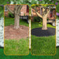 ⏳🔥LIMITED-TIME 50% OFF! ⏰Garden Edging Roll 10m with 30 Pegs🏡Roll It Out, Peg It Down – Neat Borders in Minutes ✨