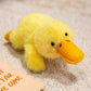 🎉 2026 Sale — Over 36000 Sold! 💰 Lovely Plushie Fridge Magnet Doll adorable