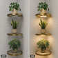 🎉 2026 Sale — Over 27,000 Sold! 🪴 Floating Wall Shelf with Built-in Ambient LED Light – Modern Plant Display 💛