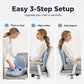 🎉 2026 Sale — Over 42,800 Sold!🪑 Ergonomic Memory Foam Seat Cushion with Back Support