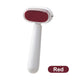 🦶 LIMITED‑TIME 50% OFF! ✨ Double‑Sided Foot Scraper for Callus Removal – Salon‑grade, Rust‑proof, Travel‑friendly 🧴