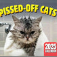🐱 LIMITED-TIME 50% OFF! 😹 Funny Cat Calendar – 12 Months Sassy Cat Humor, Wall Hanging ✨