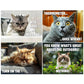 🐱 LIMITED-TIME 50% OFF! 😹 Funny Cat Calendar – 12 Months Sassy Cat Humor, Wall Hanging ✨