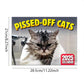🐱 LIMITED-TIME 50% OFF! 😹 Funny Cat Calendar – 12 Months Sassy Cat Humor, Wall Hanging ✨