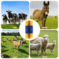 🐄 LIMITED-TIME 50% OFF! 🐴 Livestock Full Massage Grooming Scratching Brush – Dense Bristles, Wall Mount, Multi-Animal ✨