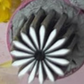💅 LIMITED-TIME 50% OFF! ✨ Nail Art Stamping Tool Kit – Creative, Simple, Salon-Quality 🌸